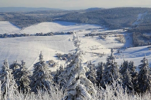 zicht-in-dal
